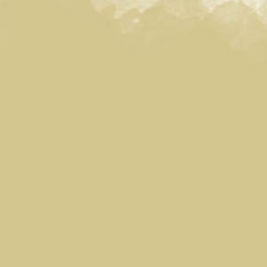 Пастель масляная мягкая MUNGYO Gallery #312 Шампанское