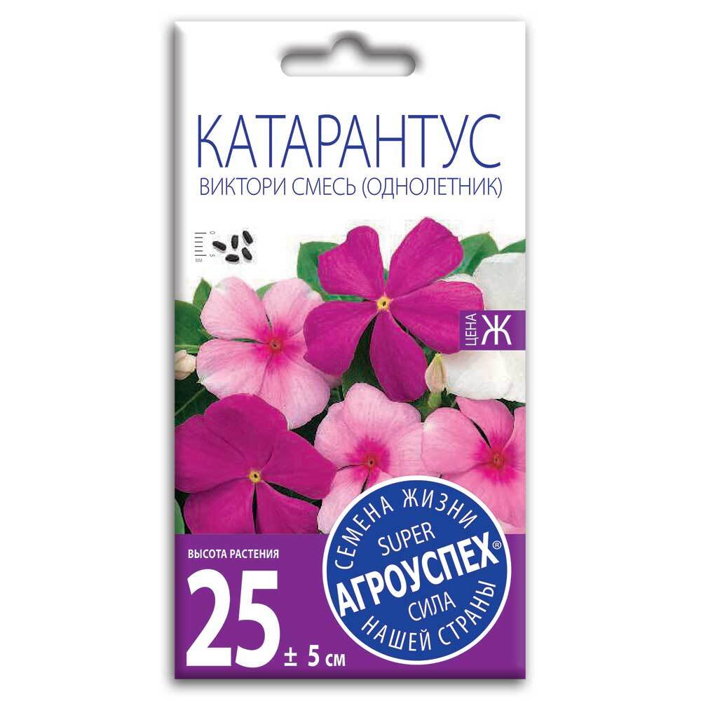 Катарантус Виктори смесь, семена Агроуспех 10шт