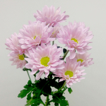 Хризантема кустовая розовая