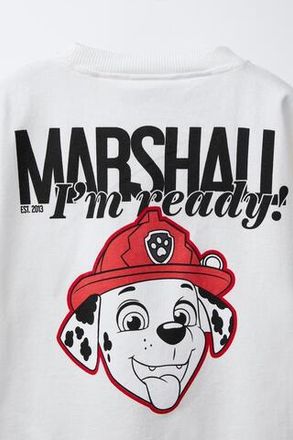 Paw Patrol