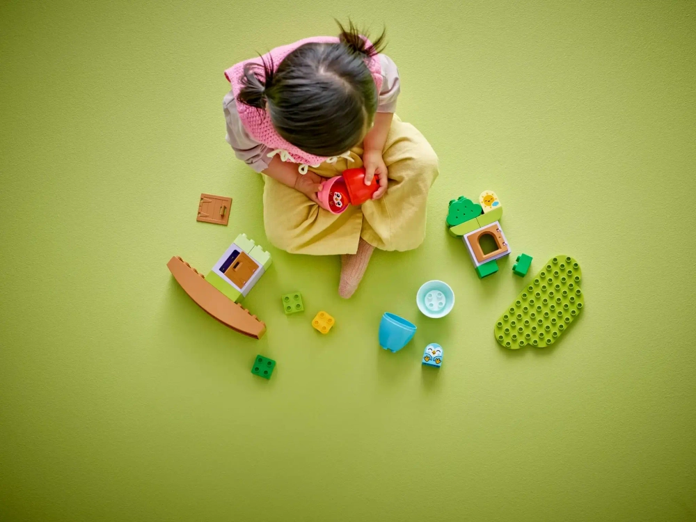 Конструктор LEGO Duplo 10440 Дерево балансировки и укладки