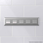 Рамка "Avanti", "Закаленная сталь", 5 постов (10 мод.)