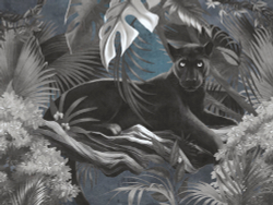 Коллекция Animality