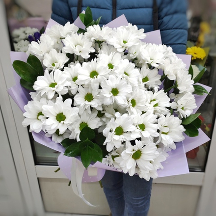 Букет из 7 кустовых хризантем сорта "KENNEDY WHITE" с рускусом