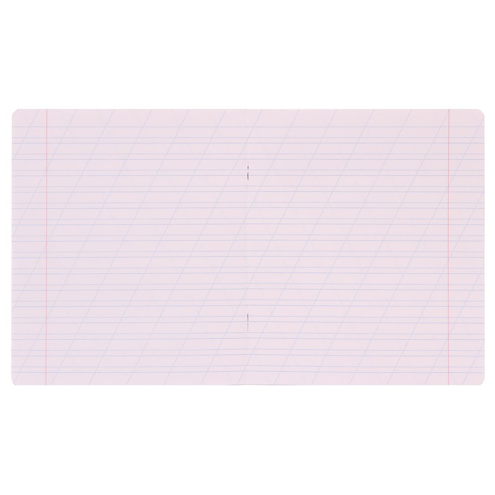 Тетрадь школьная А5 12л косая линия,зеленая "Классика Visio" (Erich Krause) микс цветов (комплект 3 шт)