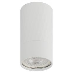 Светильник настенно-потолочный спот ЭРА OL31 WH MR16 GU10 IP20 белый