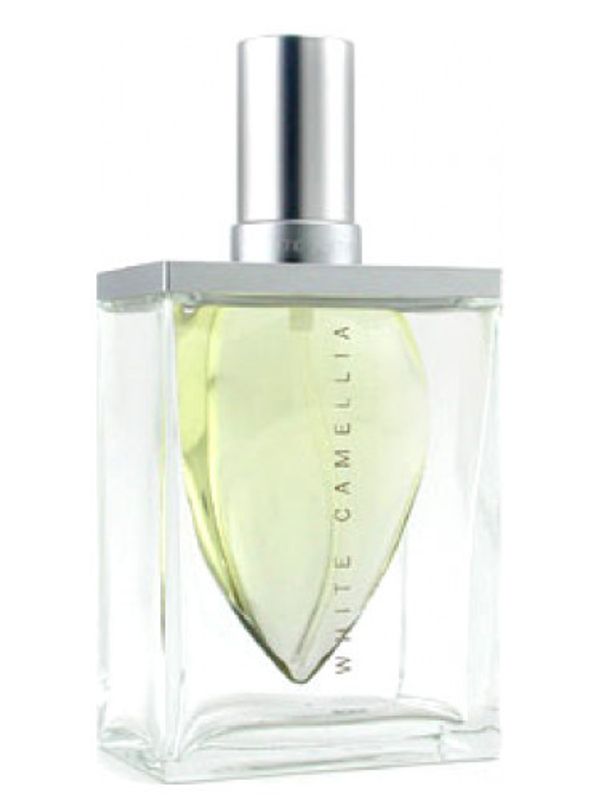 St. John White Camellia