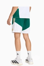 Шорты adidas Италия 2026 Training - зеленый