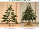 Искусственная ель на ножке «Датская» (хвоя Литая) 240 см / 2.4 м
