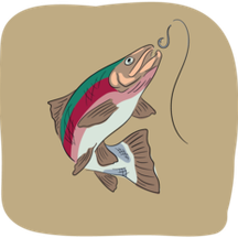 Ловля форели