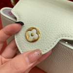 Louis Vuitton Capucines Mini