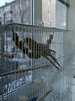 Канат джутовый для попугаев 30см