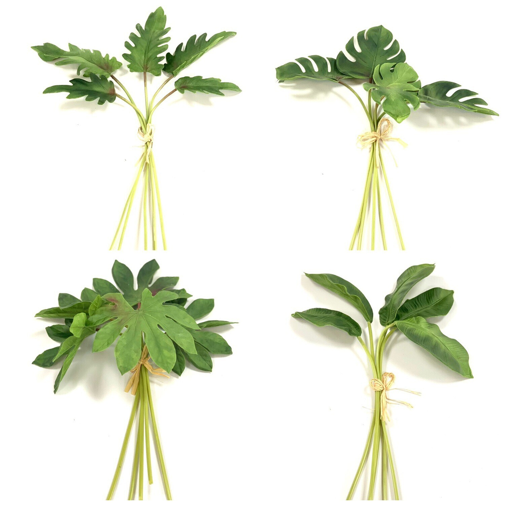 Аралия листья 5 шт