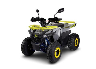 Квадроцикл AVANTIS Ray 8 Lux