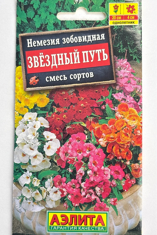 Немезия Звездный путь, смесь сортов СМЦ-362
