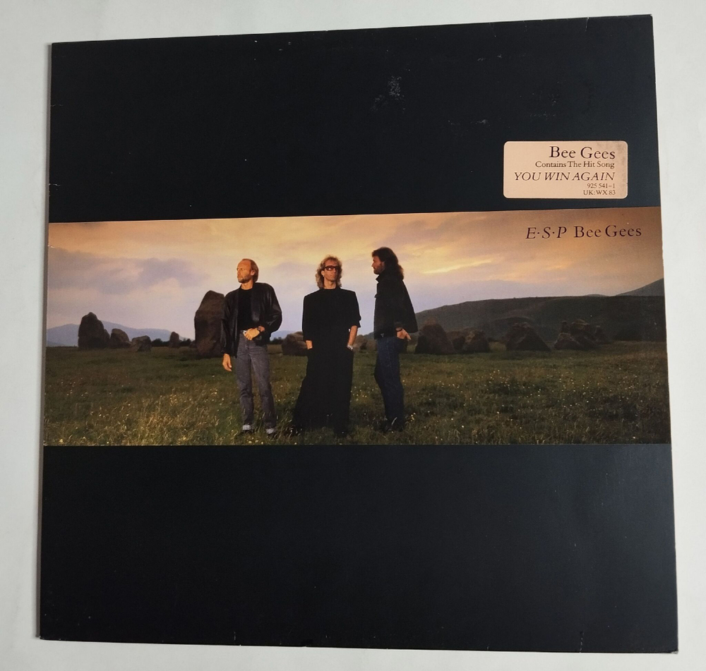 Винтажная виниловая пластинка LP Bee Gees E S P (Germany 1987)