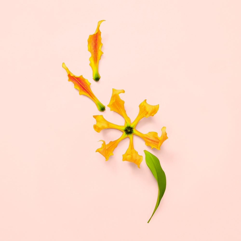 Gucci Bloom Profumo di Fiori парфюмерная вода женская