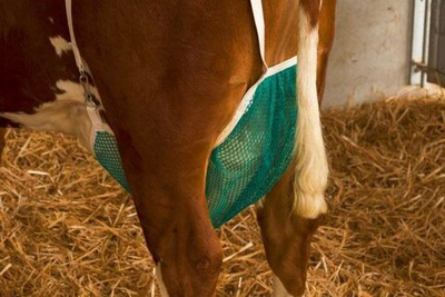 Защита для вымени, размер 3XL, 17,5х60х70 см