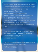 Акватория средство для бассейна Макси-пул-Комплекс 0,5л *2шт