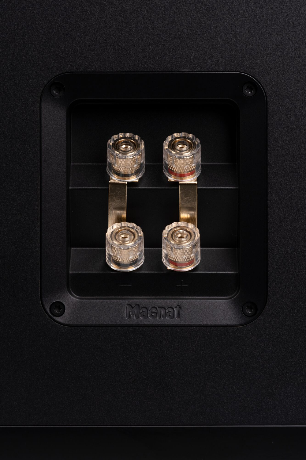 Magnat Signature 809, напольная АС
