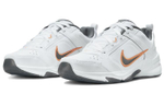 Кроссовки Nike Defy All Day