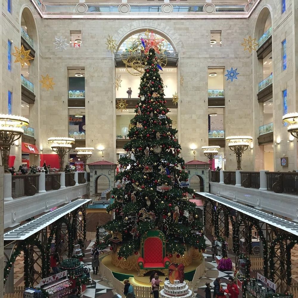 Светодинамическая елка ствольная - встроенная гирлянда: Теплый свет - "Таежная" от 11 до 21 м