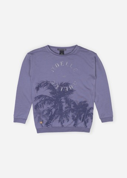 Лонгслив Scotch & Soda