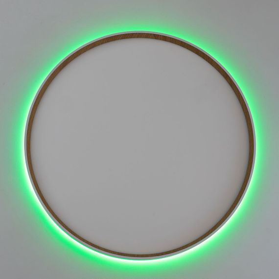 Потолочный светодиодный светильник Citilux Etalon CL750500R