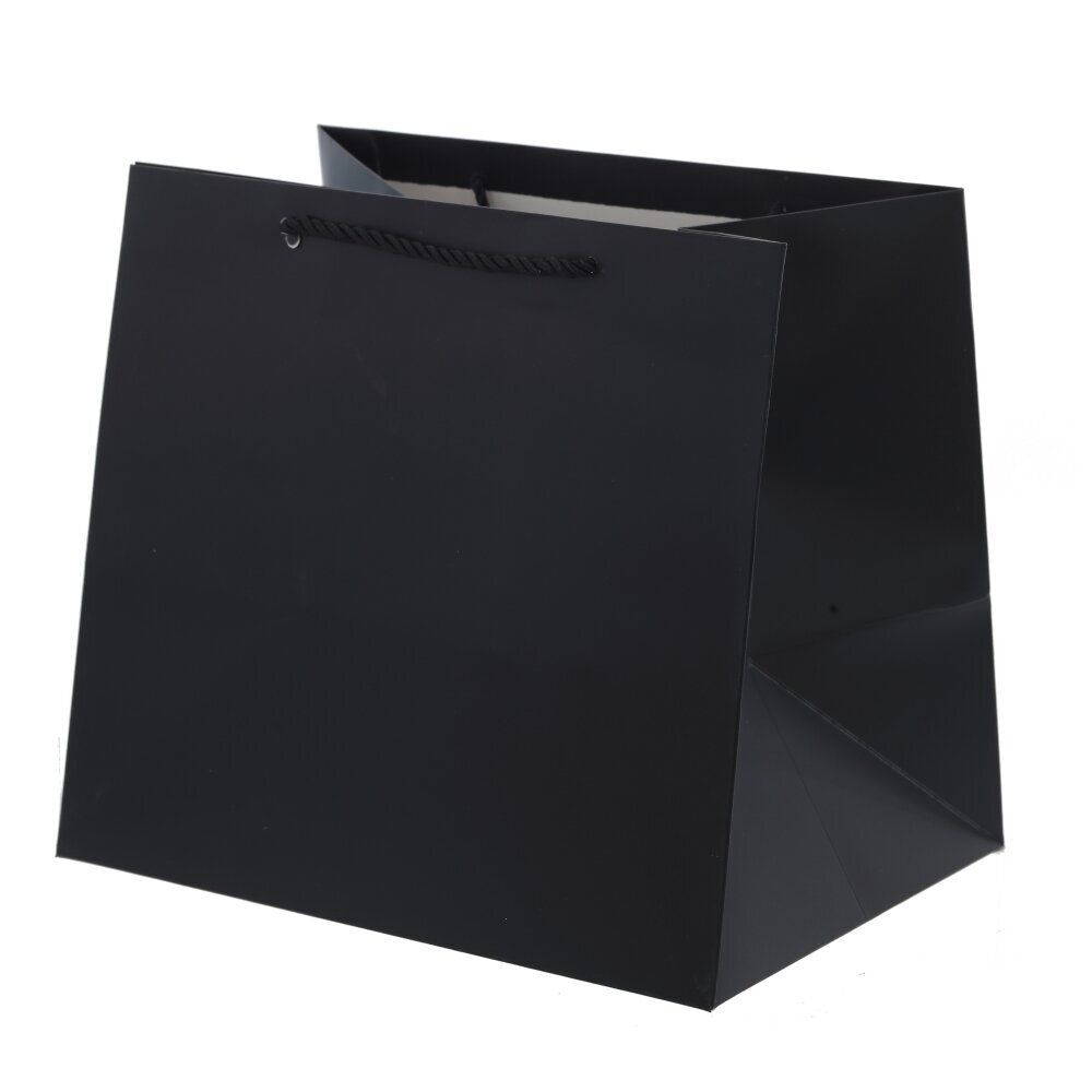 GAEM Пакет подарочный (бумага 230г/м2, блок 12шт), L28 W20 H25 см, 5в.