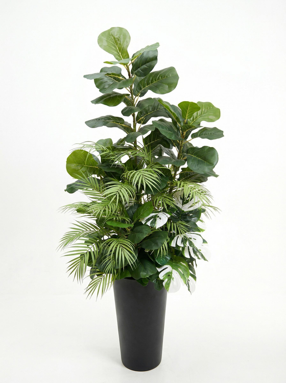 Фикус Лирата 165см в высоком кашпо Графит