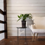 Плинтус Alpine Floor Rico Concept 80 RC 80212 Дуб Миндальный