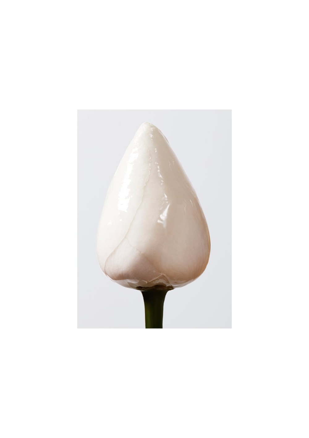 Shu Uemura Essence Absolue - питательное и увлажняющее масло для волос /   150  ml  / GTIN 3474630224100