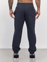 Брюки мужские с начесом "jogger fleece" (графит)