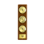 Метеостанция RST "Крузенштерн 16"