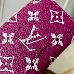 Louis Vuitton Pocket Organizer