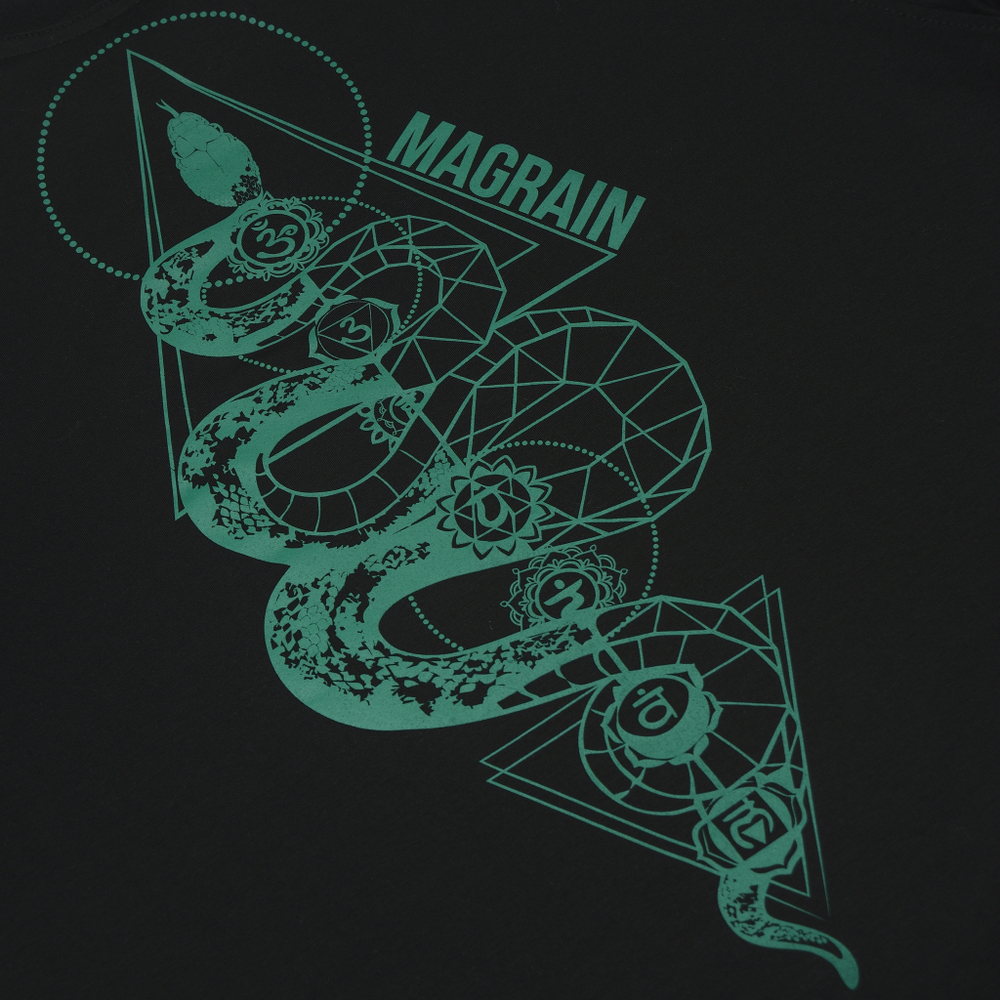 Футболка Реглан SNAKE