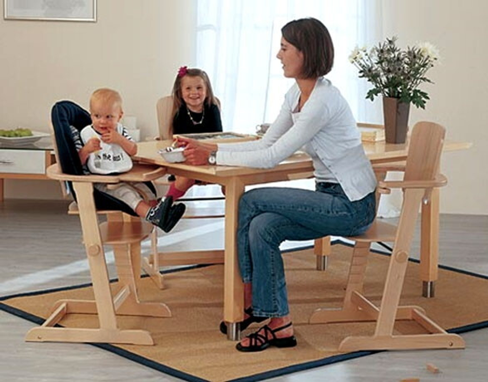 Стульчик для кормления Geuther Family FY (цветной)