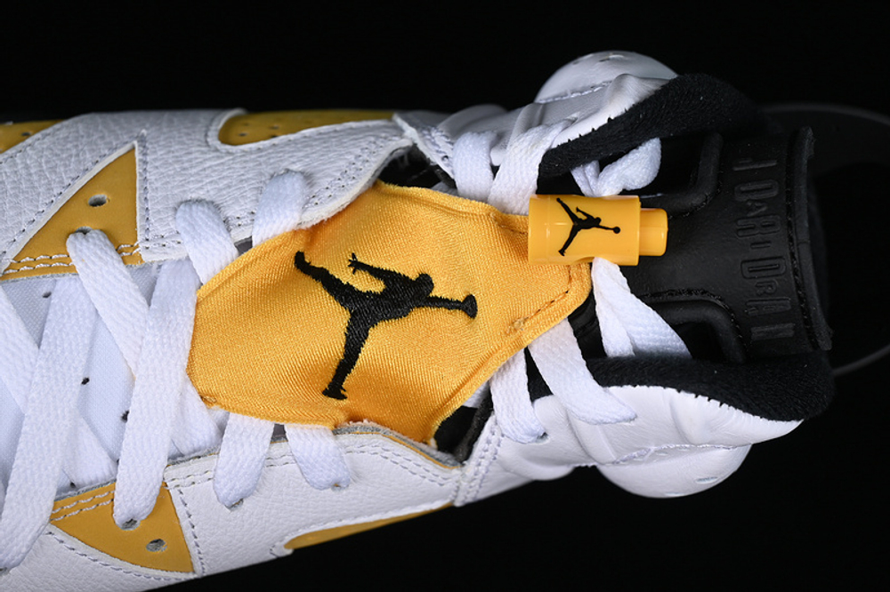 Jordan 6 Retro Yellow Ochre Homme