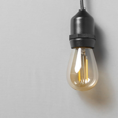 Лампа Филаментная Лофт Ø45 мм, H60 мм., 220В, Цоколь E27, 2 Вт, Золотисто-Коричневая, LTC (FLM27-2W-2TN)