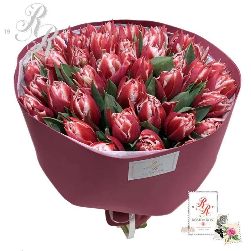 Букет красно-белых пионовидных тюльпанов чемпион | купить красно-белые  пионовидные тюльпаны