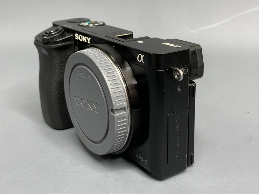 Sony A6000 22.800 кадров