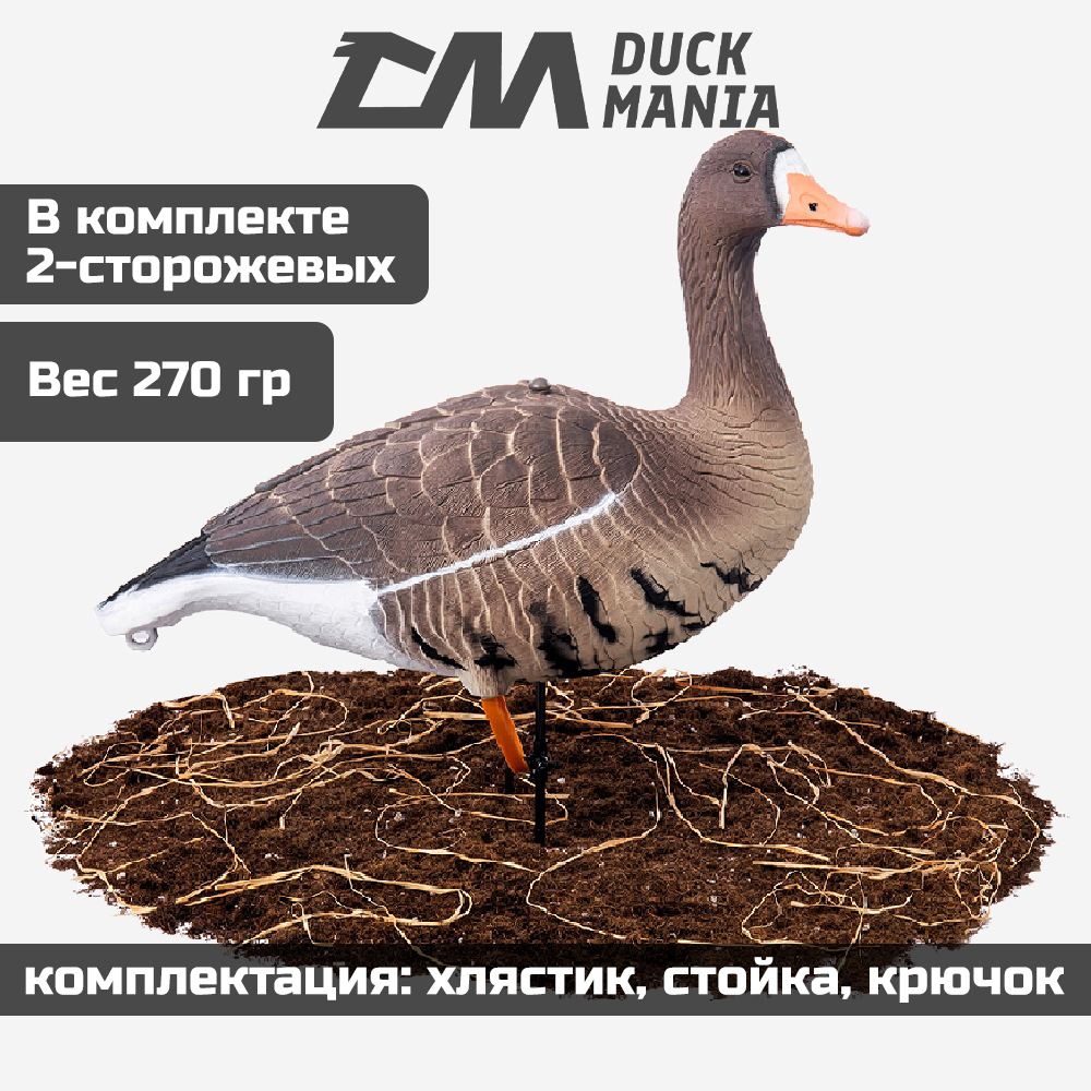 Белолобый гусь Softplast 3D мод. BS-3D