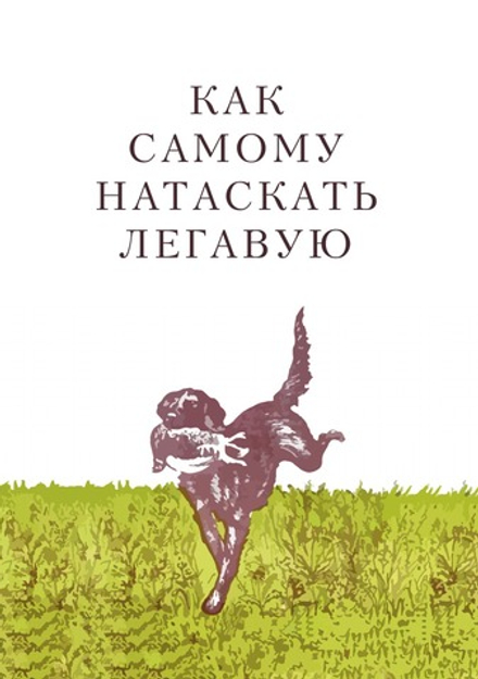 Как самому натаскать легавую | М. Петрункевич