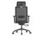 Офисное кресло SPARX FX-14 Toro Plus Black / Black