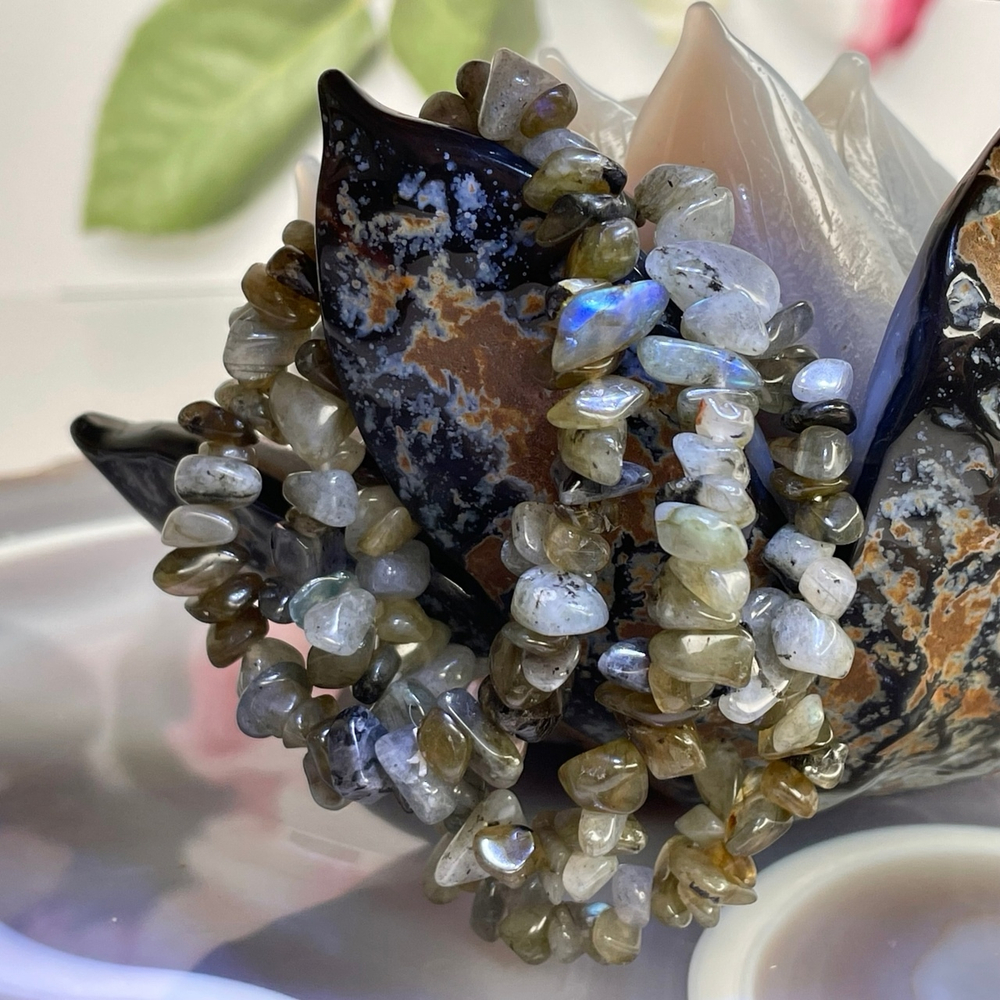 44582 Лабрадор Браслет крошка