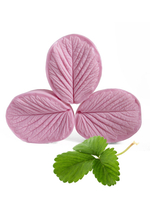 Клубника листья средние