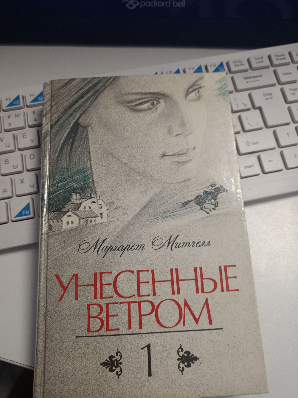 Унесенные ветром. Том 1
