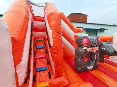 Коммерческий надувной батут «Веселый кот» 5*5*3,2 м