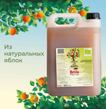 Яблочный Уксус Нефильтрованный, 5 Литров, с уксусной маткой , Натуральный, из Италии, Brivio