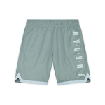 Шорты Jordan Air Jordan logo, DQ5917-077